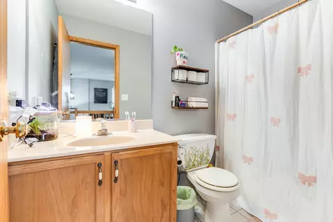 Bath - 661 Chestnut Rdg, Minooka, IL 60447 photo 3 of 3