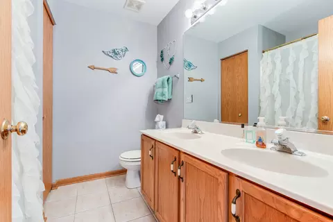 Bath - 661 Chestnut Rdg, Minooka, IL 60447 photo 2 of 3