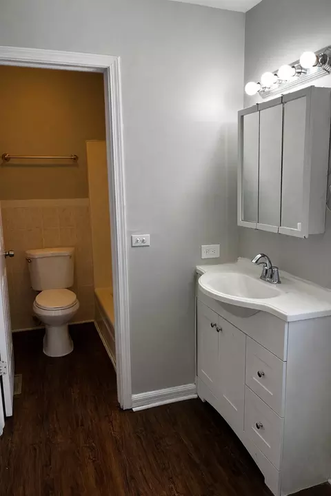 Bath - 156 Cloverleaf Rd, Matteson, IL 60443 photo 3 of 3