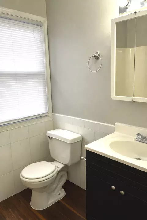 Bath - 156 Cloverleaf Rd, Matteson, IL 60443 photo 2 of 3