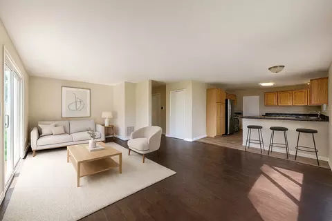 Living - 25 Pheasant Rd, Matteson, IL 60443 photo 6 of 7