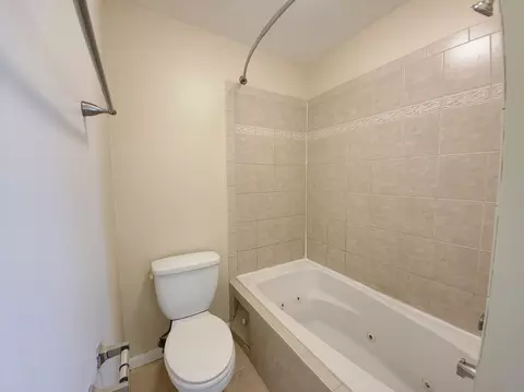 Bath - 25 Pheasant Rd, Matteson, IL 60443 photo 3 of 5