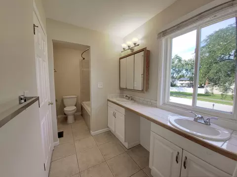 Bath - 25 Pheasant Rd, Matteson, IL 60443 photo 4 of 5