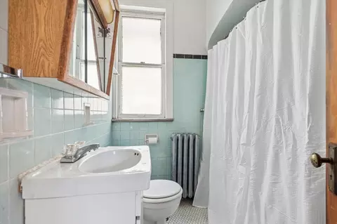 3039 N Gresham Ave, Chicago, IL 60618 photo 10