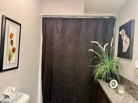 Bath - 7 Westminster Dr, Spring Valley, IL 61362 photo 2 of 6