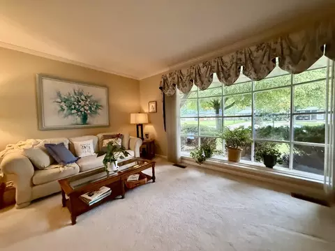 Living - 7 Westminster Dr, Spring Valley, IL 61362 photo 3 of 10