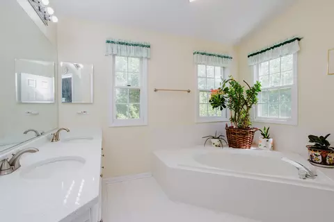 Bath - 1438 Della Dr, Hoffman Estates, IL 60169 photo 2 of 4