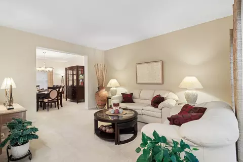 Living - 16324 Hidden River Dr, Plainfield, IL 60586 photo 1 of 3