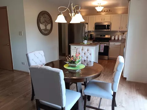 Dining - 1506 Lasser Dr, Plainfield, IL 60586 photo 3 of 5