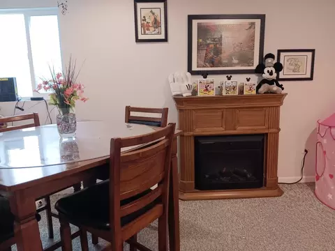 Dining - 1506 Lasser Dr, Plainfield, IL 60586 photo 5 of 5