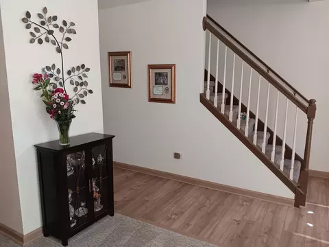 Entry Way - 1506 Lasser Dr, Plainfield, IL 60586 photo 3 of 5