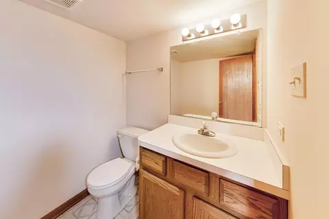 Bath - 231 Hillcrest Ln, Steger, IL 60475 photo 4 of 4