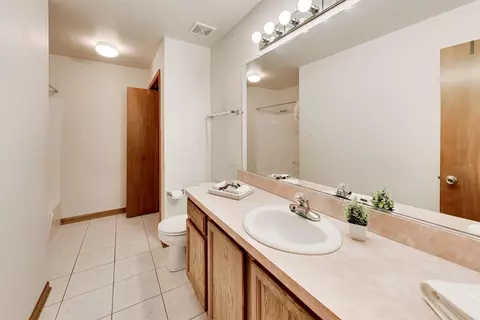 Bath - 231 Hillcrest Ln, Steger, IL 60475 photo 1 of 4