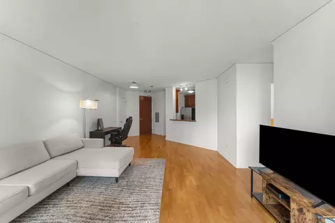 Living - 420 E Waterside Dr #1802, Chicago, IL 60601 photo 2 of 4