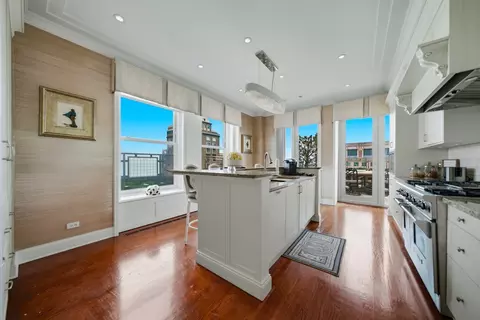 159 E Walton Pl #22A, Chicago, IL 60611 photo 37