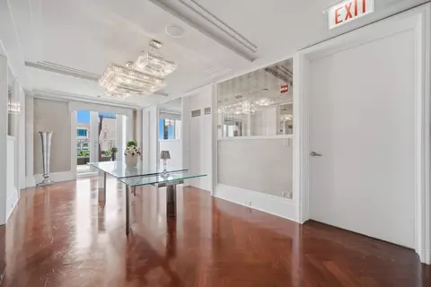 159 E Walton Pl #22A, Chicago, IL 60611 photo 24