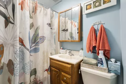 Bath - 7522 Arlene Ave, Willowbrook, IL 60527 photo 1 of 1