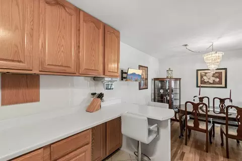 Other - 8924 Kenneth Dr #101A, Des Plaines, IL 60016 photo 1 of 8