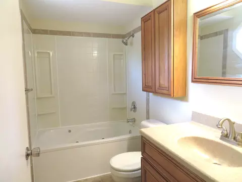 Bath - 116 Crabapple Ln, Morris, IL 60450 photo 2 of 5