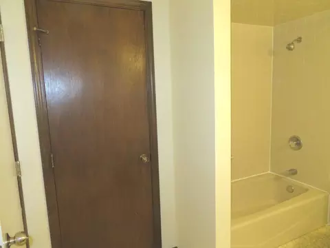 Bath - 116 Crabapple Ln, Morris, IL 60450 photo 5 of 5