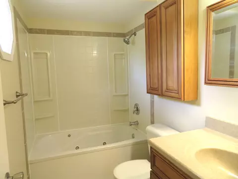 Bath - 116 Crabapple Ln, Morris, IL 60450 photo 3 of 5