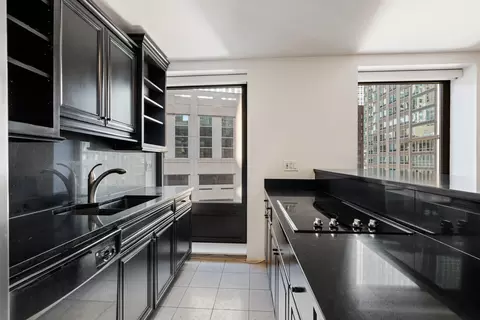 Kitchen - 40 E Delaware Pl #1502, Chicago, IL 60611 photo 2 of 5