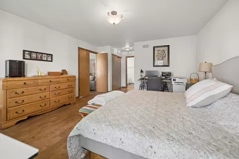 Bedroom - 13323 Red Cedar Ln, Plainfield, IL 60544 photo 3 of 4