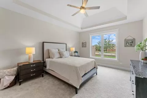Bedroom - 8803 Willow Ln #MODEL, Mokena, IL 60448 photo 1 of 4