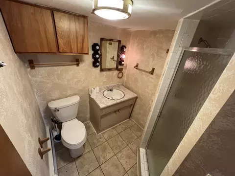 Bath - 616 Seneca Dr, Aurora, IL 60506 photo 4 of 4