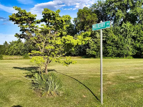 00 Mulberry Dr, Flora, IL 62839 photo 2