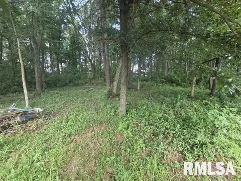 0000 E North Ave, Bluford, IL 62814 photo 18