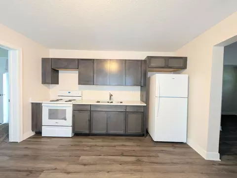 1338 E Chestnut St, Kankakee, IL 60901 photo 6