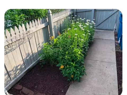 Exterior - 607 E 5th St, Coal Valley, IL 61240 photo 14 of 16