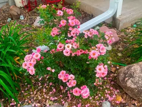 Other - 607 E 5th St, Coal Valley, IL 61240 photo 6 of 10