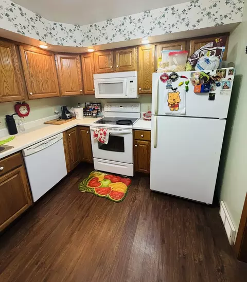 716 S Jackson St, Mount Carroll, IL 61053 photo 4