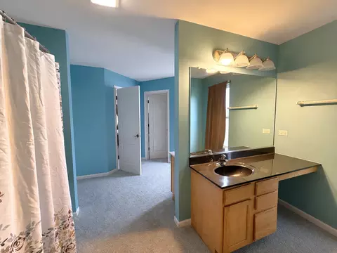 1515 Eagle Bluff Dr, Bourbonnais, IL 60914 photo 17