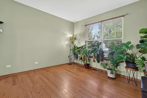 Living - 1913 Windstone Dr, Plainfield, IL 60586 photo 3 of 8