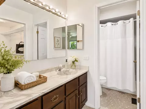Bath - 1039 Oakview Dr, Wheaton, IL 60187 photo 3 of 4