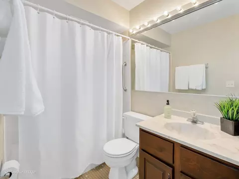 Bath - 1039 Oakview Dr, Wheaton, IL 60187 photo 4 of 4