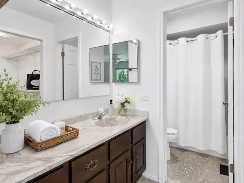Bath - 1039 Oakview Dr, Wheaton, IL 60187 photo 2 of 4