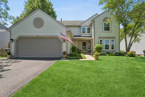 225 E Brittany Ln, Hainesville, IL 60030