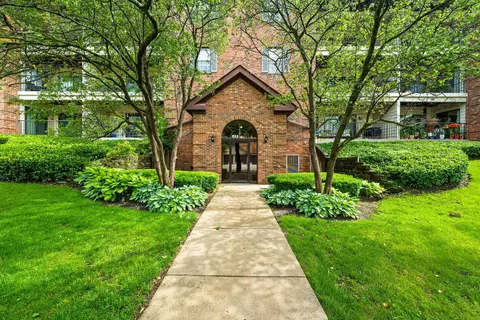 611 Hapsfield Ln #306, Buffalo Grove, IL 60089