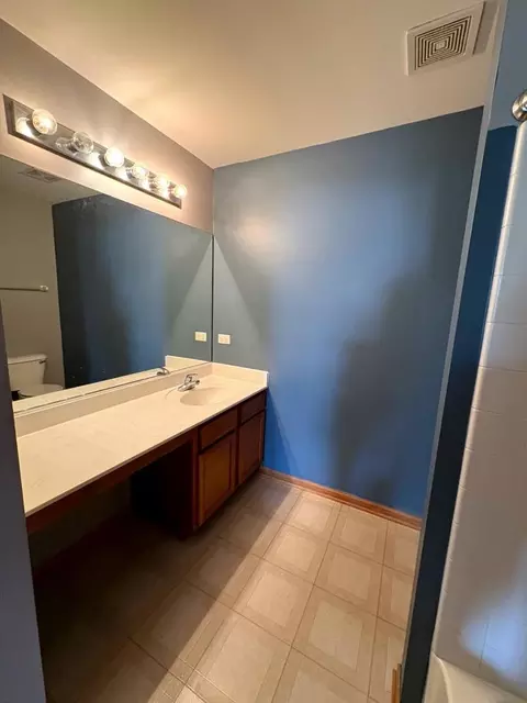 Bath - 1301 Burns Ct, Minooka, IL 60447 photo 1 of 3