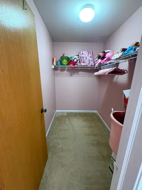 Other - 1301 Burns Ct, Minooka, IL 60447 photo 5 of 8