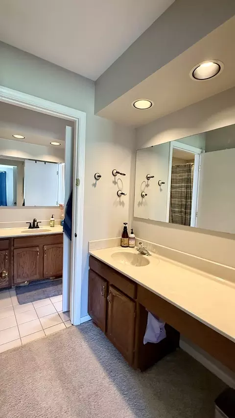 Bath - 151 Pier Ct, Naperville, IL 60565 photo 3 of 3
