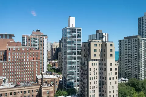 View/Area - 1 E Scott St #2002, Chicago, IL 60610 photo 1 of 2