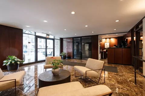 Other - 1 E Scott St #2002, Chicago, IL 60610 photo 3 of 3