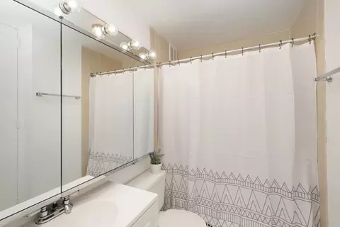 Bath - 1 E Scott St #2002, Chicago, IL 60610 photo 1 of 1