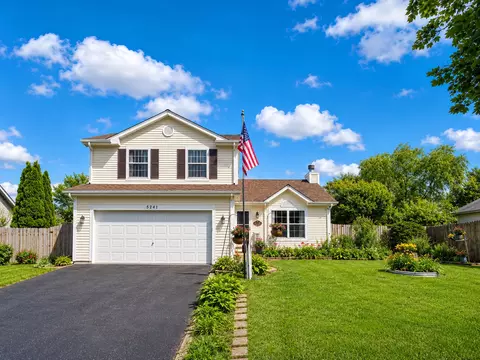 5241 W Orchard Trl, Monee, IL 60449