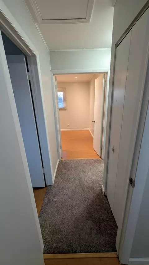 Entry Way - 117 Galewood Dr, Bolingbrook, IL 60440 photo 4 of 4